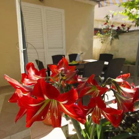 Apartment Enio